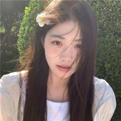 风葵的夏日物语